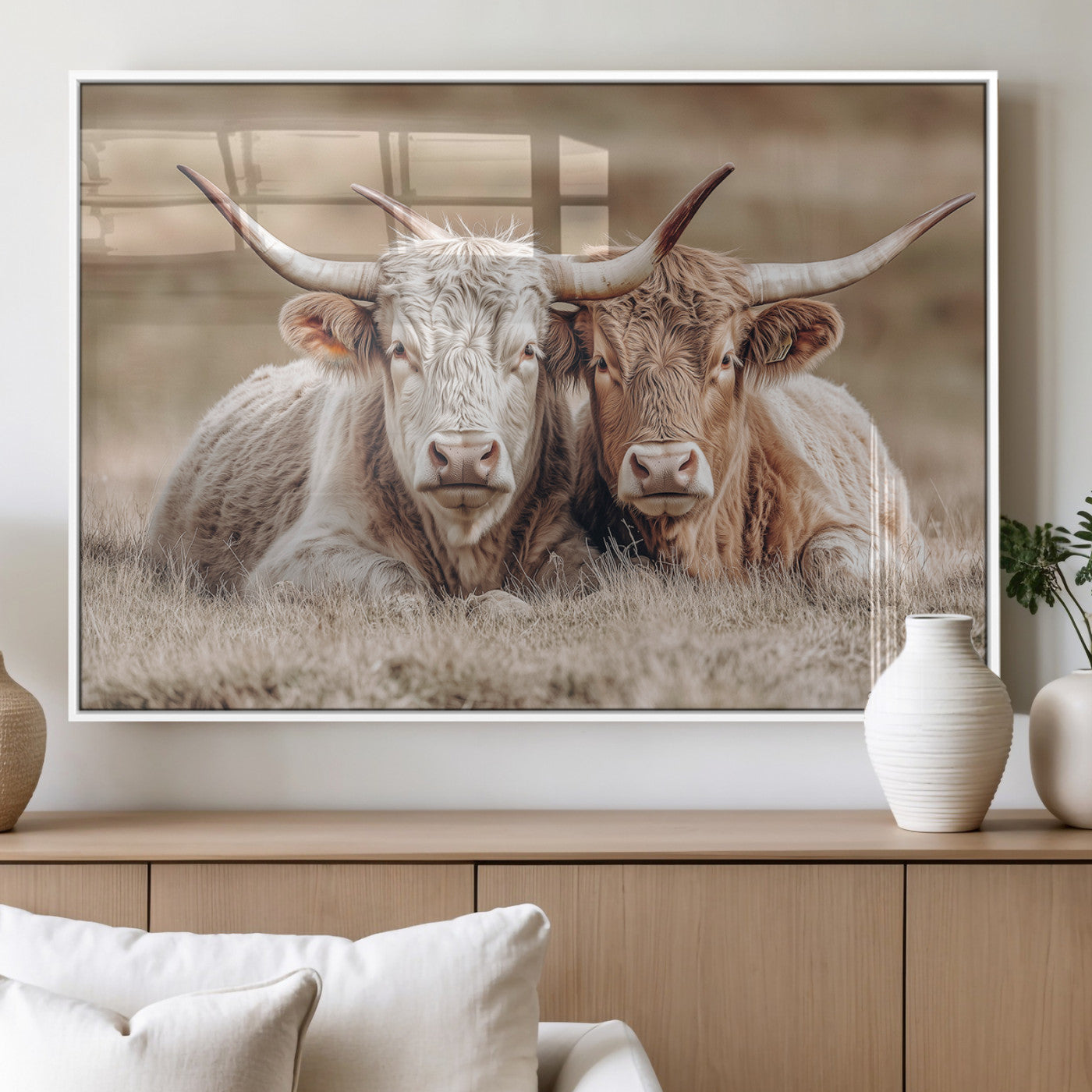 Two Highland cows with long horns lying side by side on a grassy field, featuring soft natural tones and a calm rural setting.
