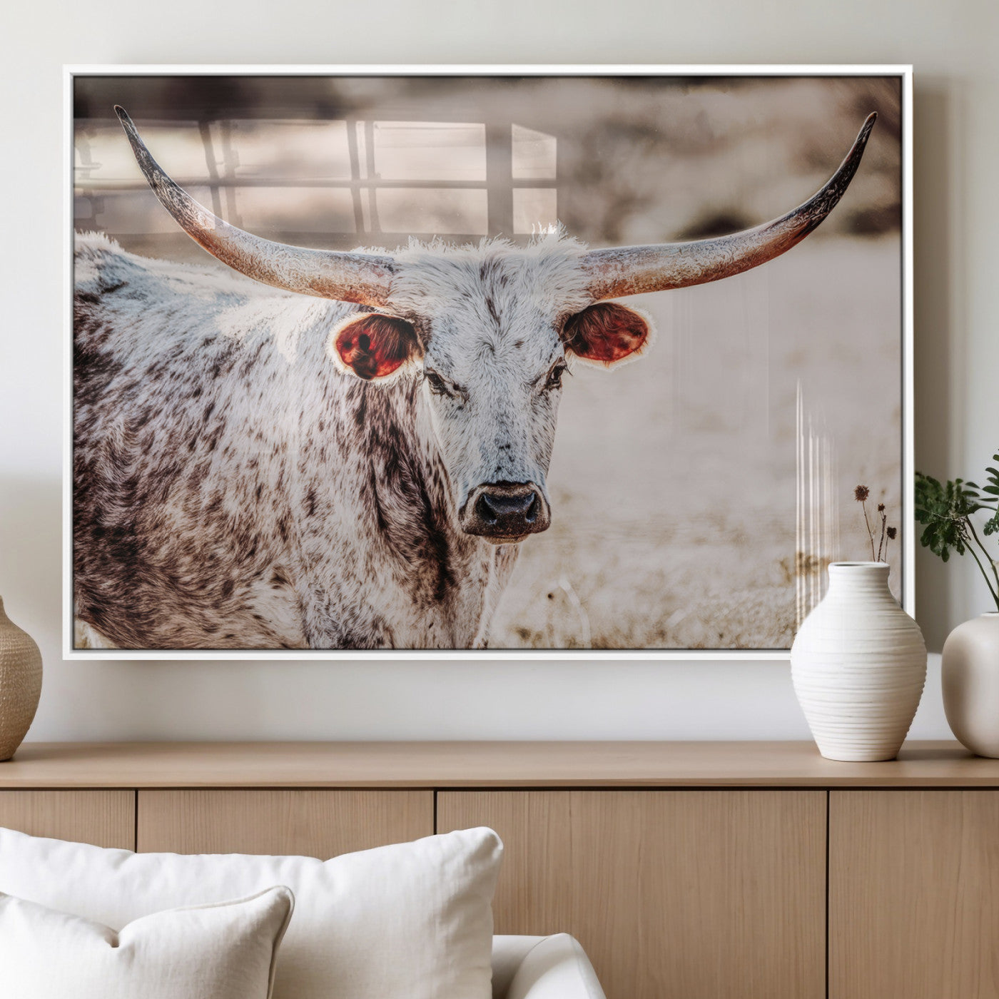 Close-up photograph of a white and brown speckled longhorn cow with very large, curved horns standing in a sunlit field with dry grass and blurred background.