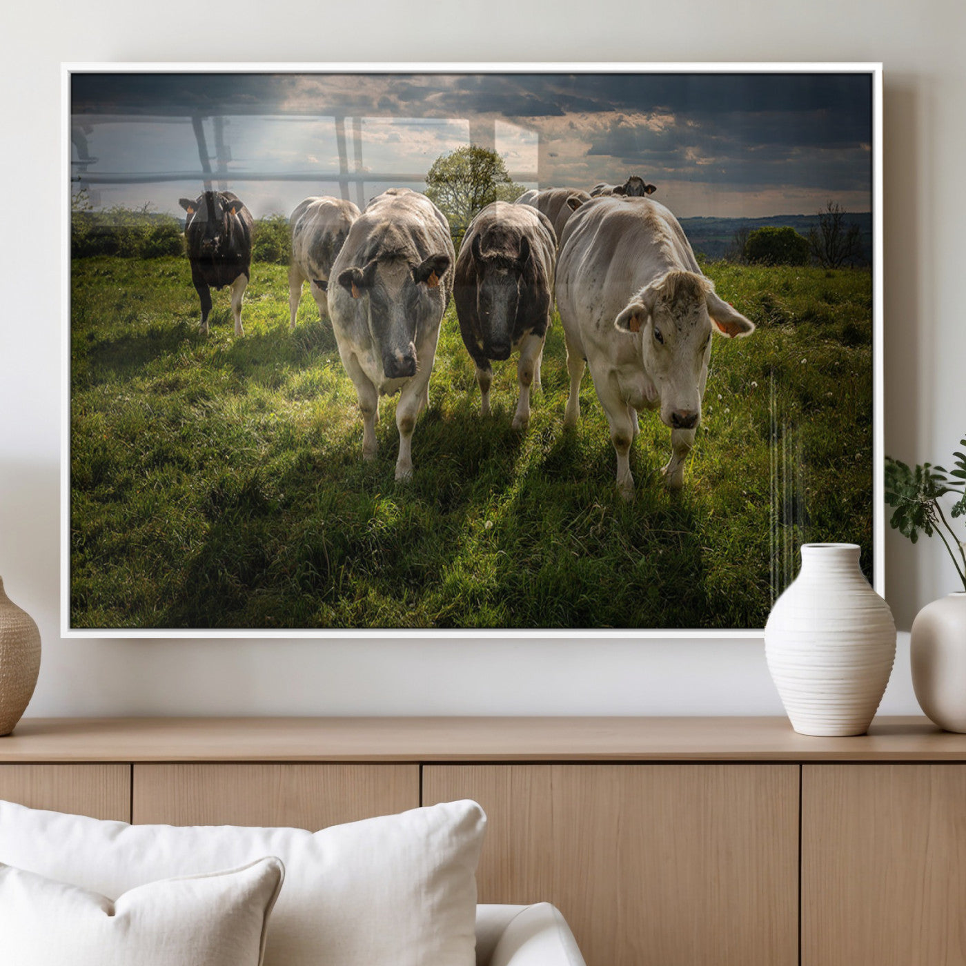 67277447-MGV-CV-60X30-3P_White-Grazing Cattle Herd Pasture Green Field Livestock Natural Farm Animals Rural Life Outdoor Wall Art Canvas Print