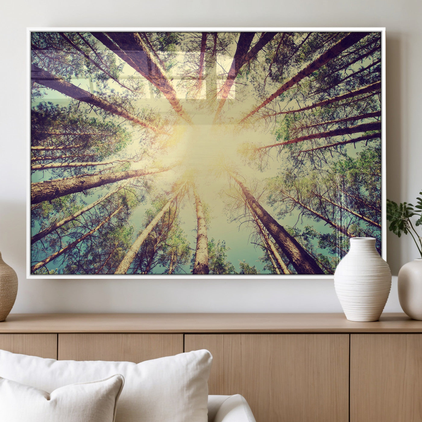 89611-MGV-FP-60X30-3P_White-Tree and Sunshine Canvas Print