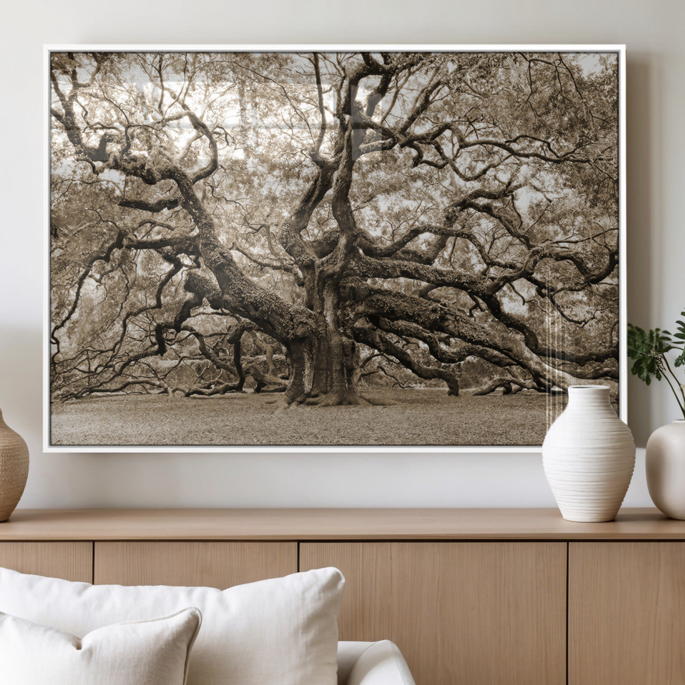 51126-MGV-FP-60X30-3P_White-Sepia Framed Angel Oak Tree Wall Art - 3-Panel Canvas Prints, Large Green Nature Artwork, Ready to