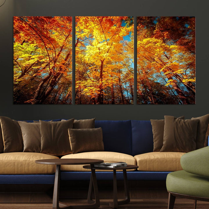 Forest View at Fall Wall Art Autumn Colors Landscape Canvas Print