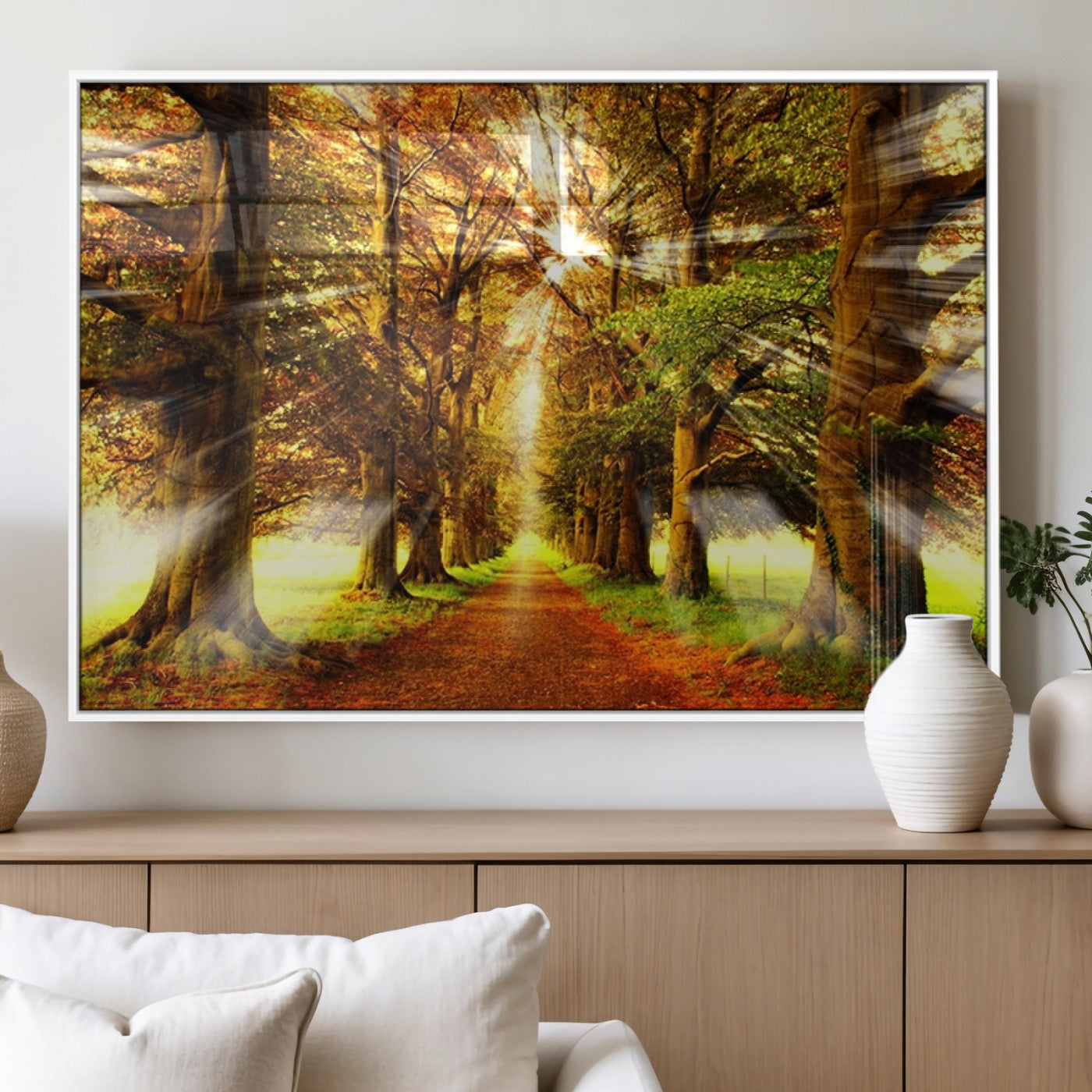 50243-MGV-FP-60X30-3P_White-Sunshine in Forest and Trees Wall Art Canvas Print