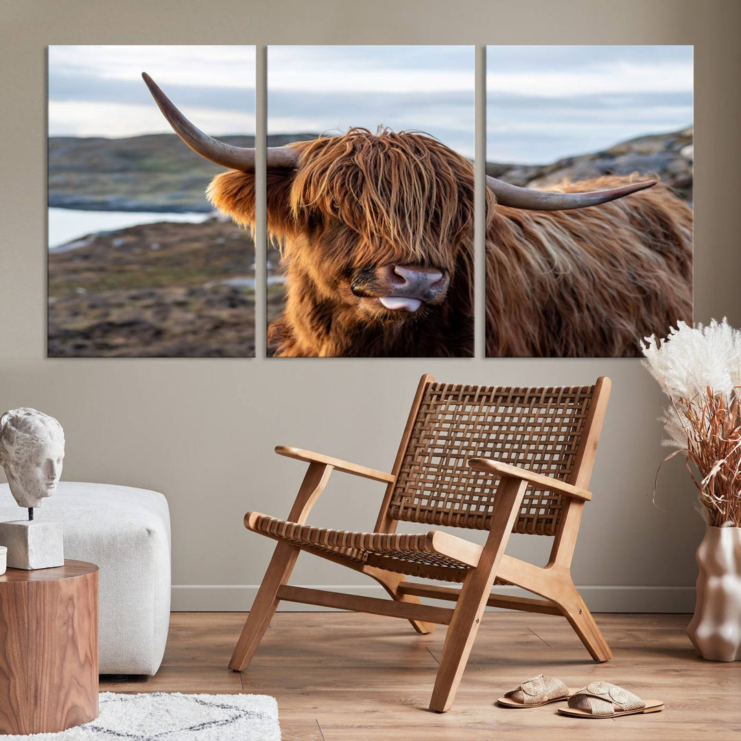 Cuddly Highland Cow Canvas Photo Wall Art Print Highlands Art Cute Animal Wall Art