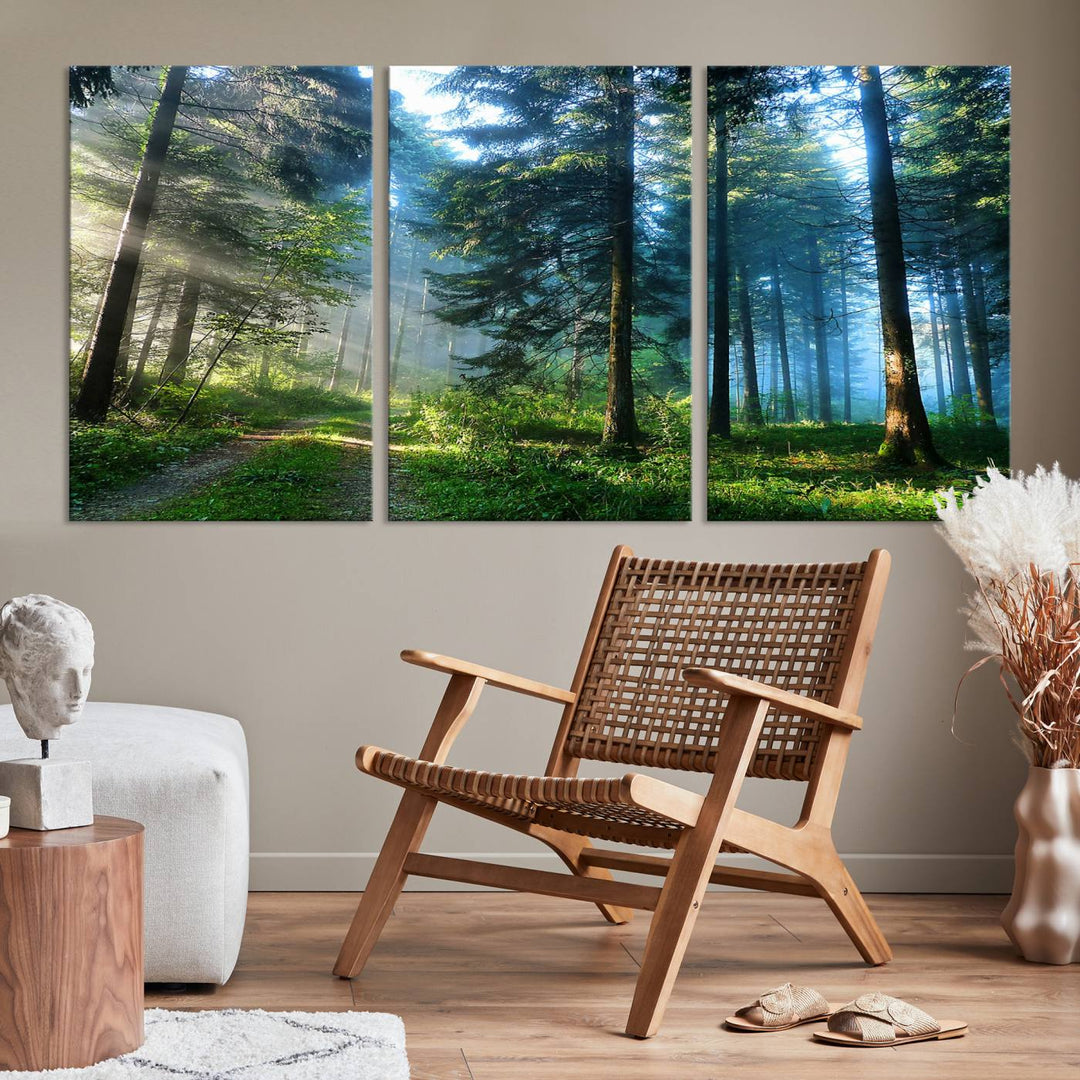 Forest Sun Shine Wall Art Canvas Print