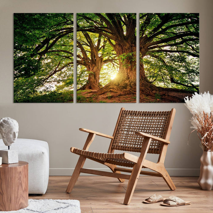 Majestic Ancient Tree Wall Art, Nature-Inspired Canvas Print, Woodland Art, Tree of Life Artwork, Sunlit Forest, Giclee Nature Print