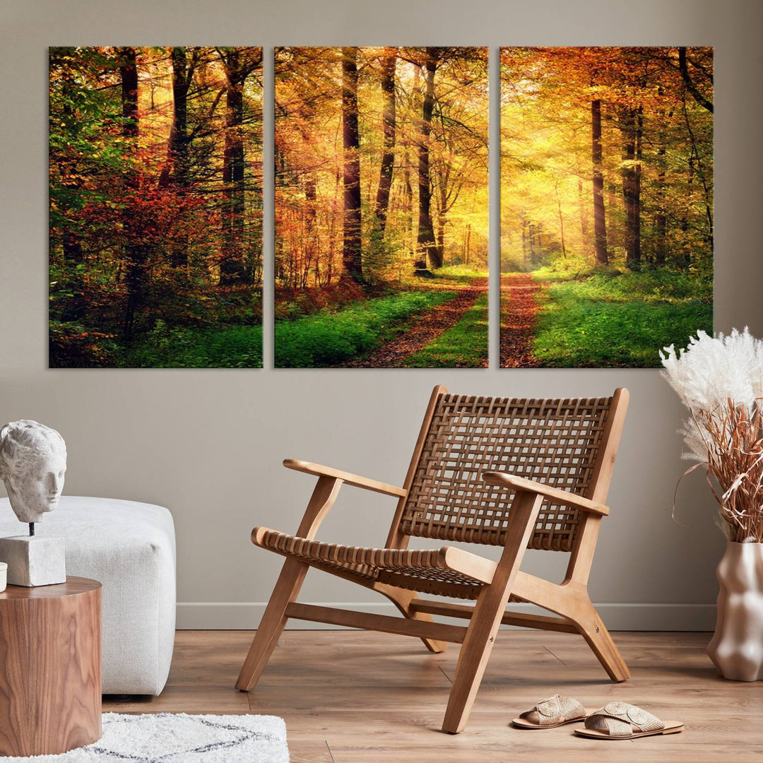 The Sunlight Through Trees Wall Art Canvas Print showcases a sunlit forest path in autumn on gallery-wrapped, museum-quality canvas with UV-protective coating.