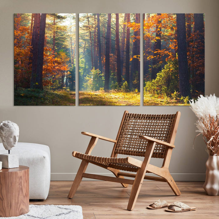 Forêt Sunshine Wall Art Impression sur toile