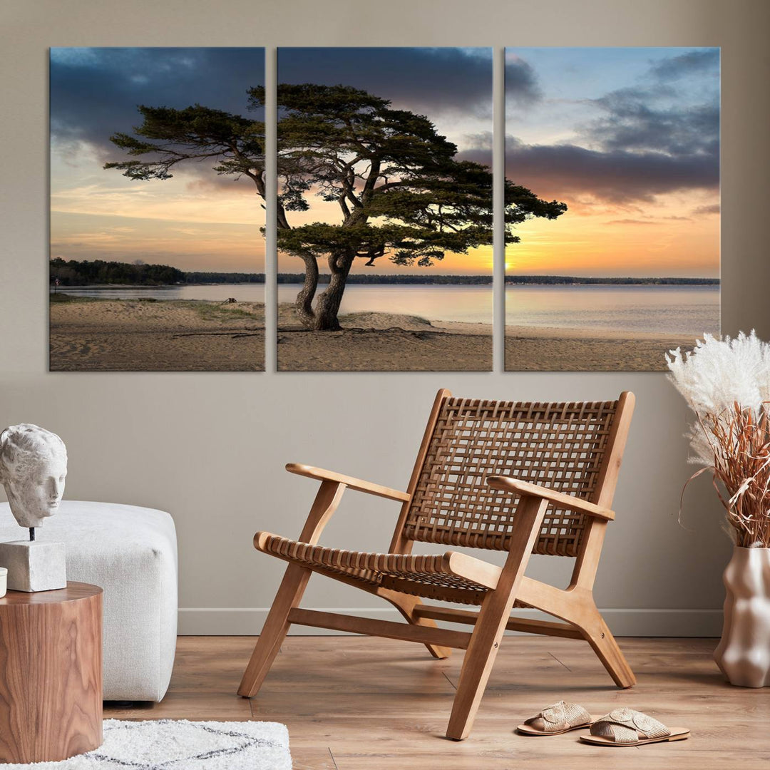 The room showcases the Coastal Sunset Wall Art Canvas Print, a triptych elegantly displayed on museum-quality polycotton canvas, depicting a serene beach sunset with a tree.