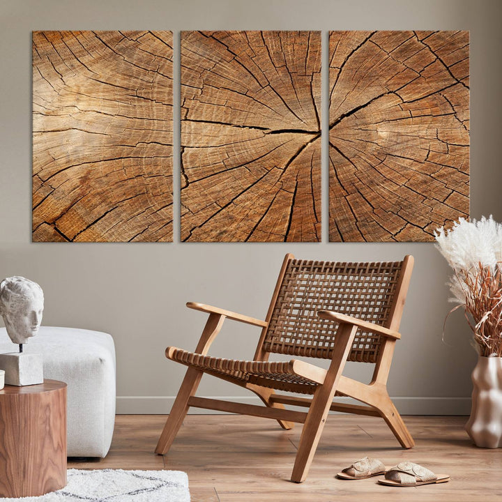 The stunning multi-panel wall art piece, the Tree Ring Canvas Art, features intricate rustic wood grain textures. This giclee triptych hangs elegantly on the wall.