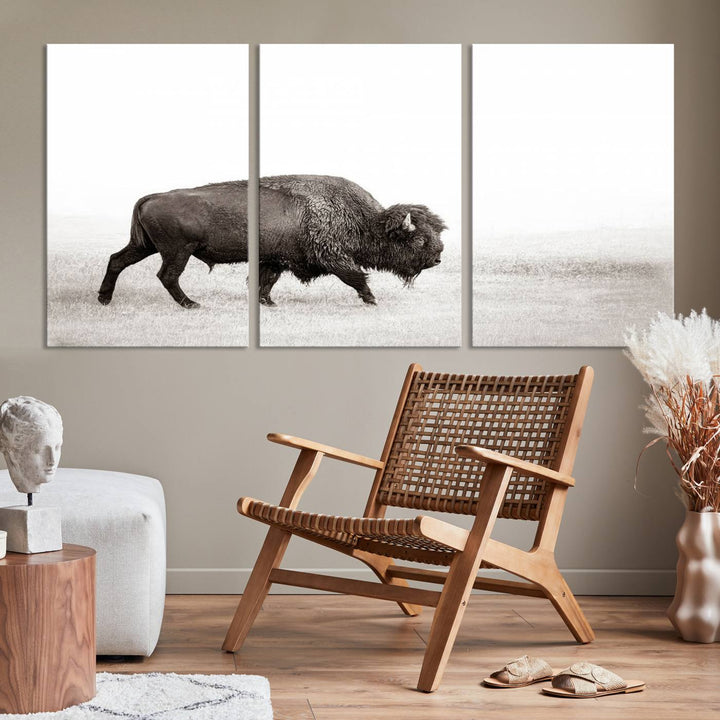 American Bison in Grasslands Triptych Canvas Wall Art – Western-Inspired Nature Decor for Home or Office