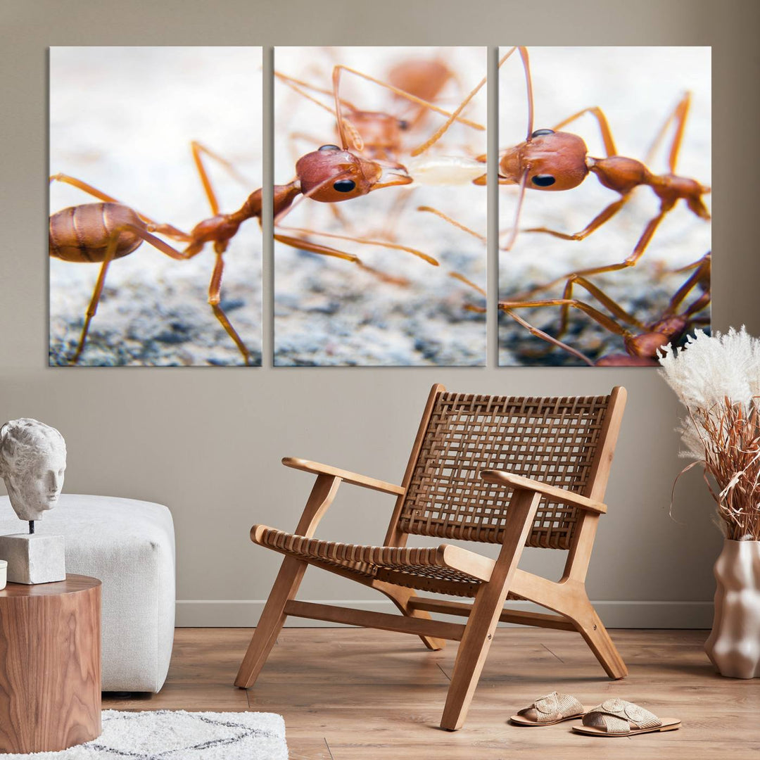 The "Ants Wall Art Canvas Print" features two ants facing each other, beautifully presented across three panels on museum-quality canvas with a UV-protective coating.