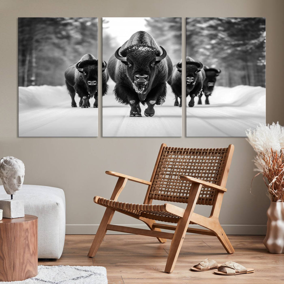 Buffalo Wall Art Canvas Print, Bison Wall Art Canvas Print