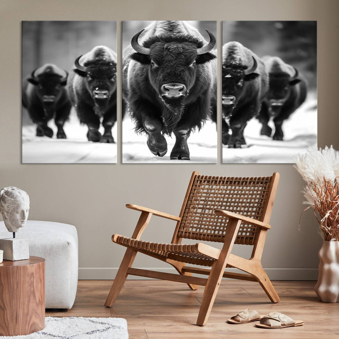 A modern living room features a striking black-and-white American Bison Art | Buffalo Herd Wall Art Canvas Print on the wall.