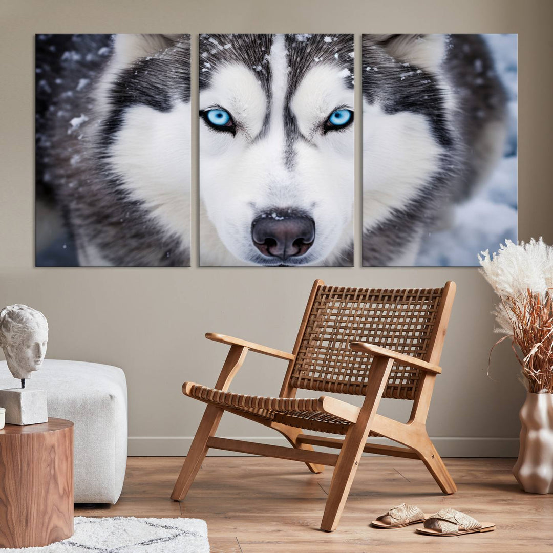 A large framed Winter Siberian Husky Wolf Wall Art Canvas Print, an exquisite piece of animal portrait decor, hangs prominently on the wall.