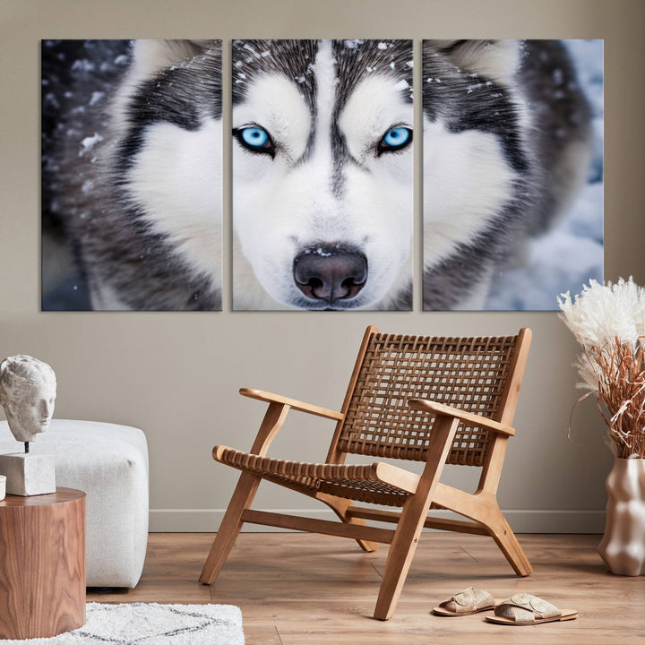 A large framed Winter Siberian Husky Wolf Wall Art Canvas Print, an exquisite piece of animal portrait decor, hangs prominently on the wall.