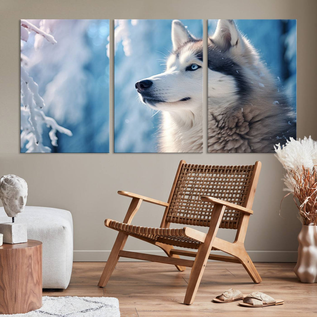 A captivating Winter Siberian Husky Wolf Wall Art Canvas Print hangs prominently.