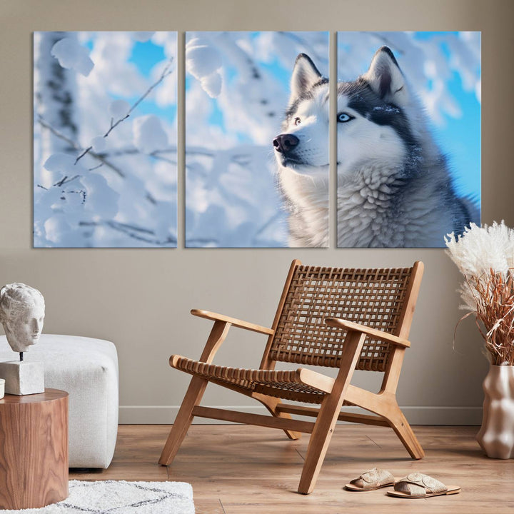 The Siberian Husky Art Canvas elegantly enhances the room.