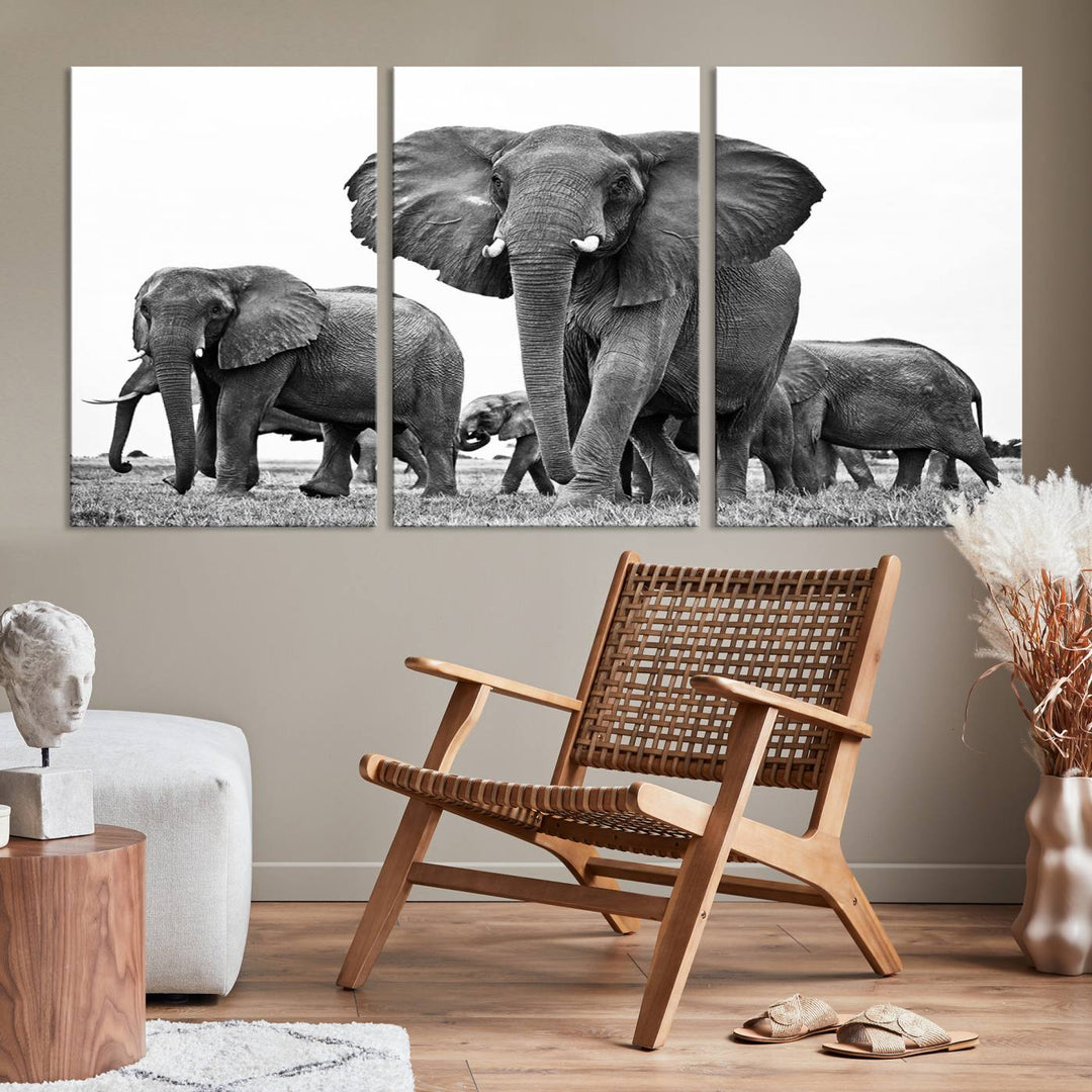 The Black White Elephant Family Wall Art Canvas Print features a triptych of elephants walking in the wild, crafted as gallery-quality wall art on premium canvas.