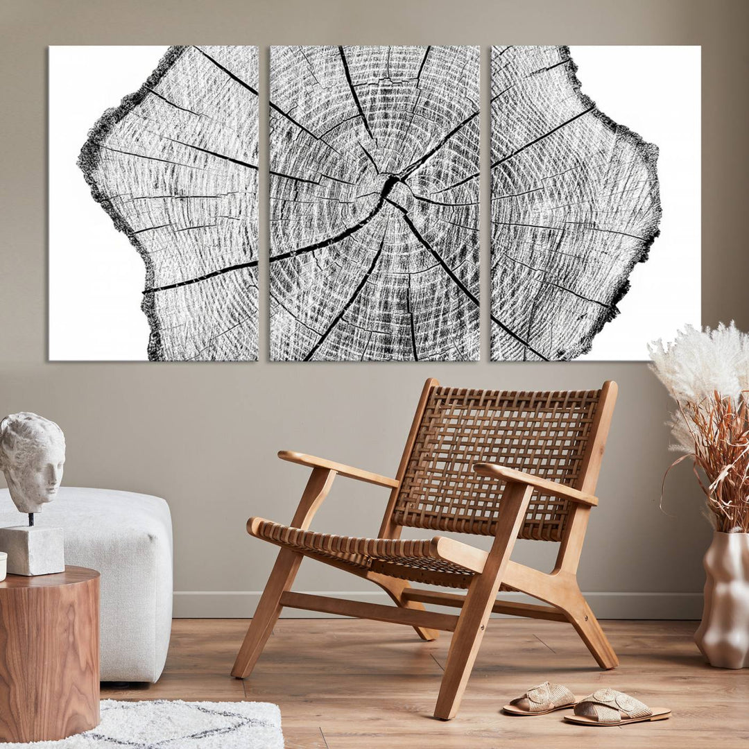 Rustic Tree Ring Wall Art Canvas Print – Framed and Ready to Hang – Perfect for Nature-Inspired and Minimalist Décor 