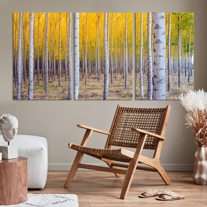 Birch Trees Forest in Autumn Wall Art Print