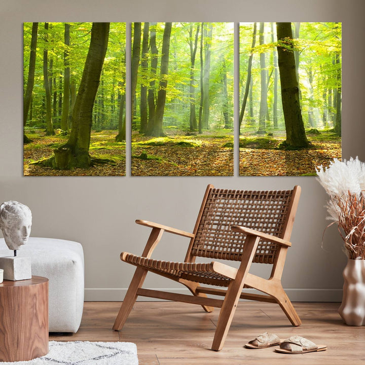 Wall Art Landscape Canvas Print Sunshine in Green Forest