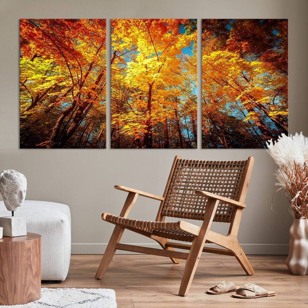 Forest View at Fall Wall Art Autumn Colors Landscape Canvas Print