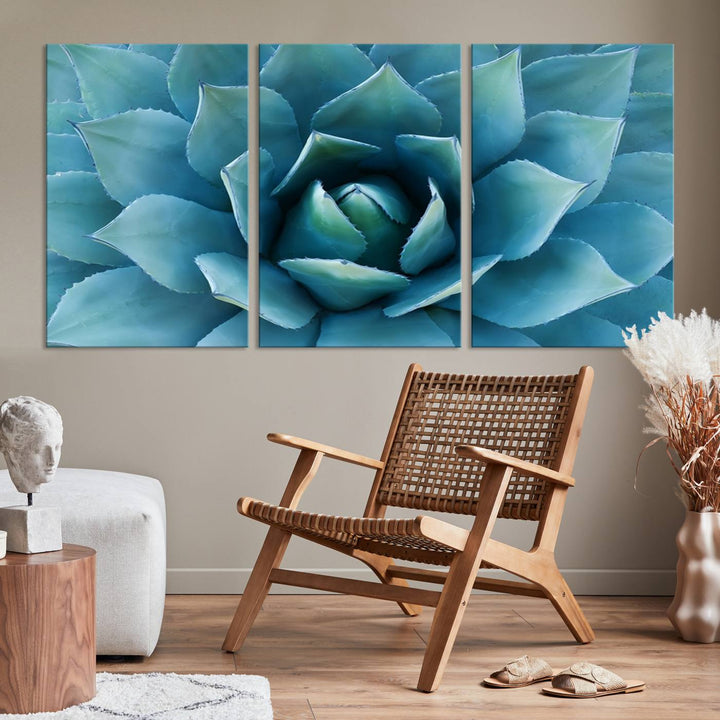 A stunning Large Agave Succulent Canvas Wall Art, a botanical close-up print perfect for modern living rooms, hangs prominently.