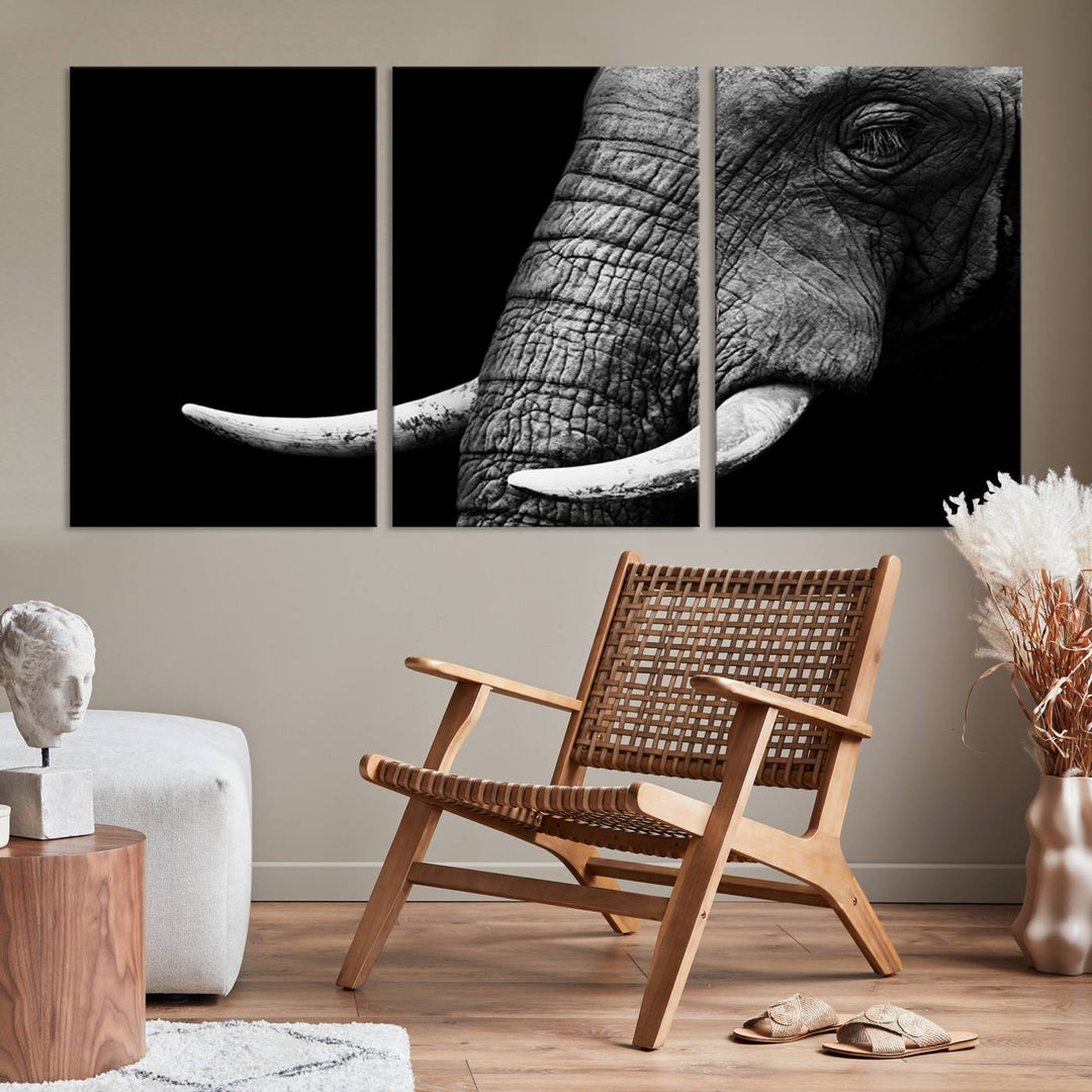 Wall Art Animal Canvas Print Close Taken Elephant with Big Ivories