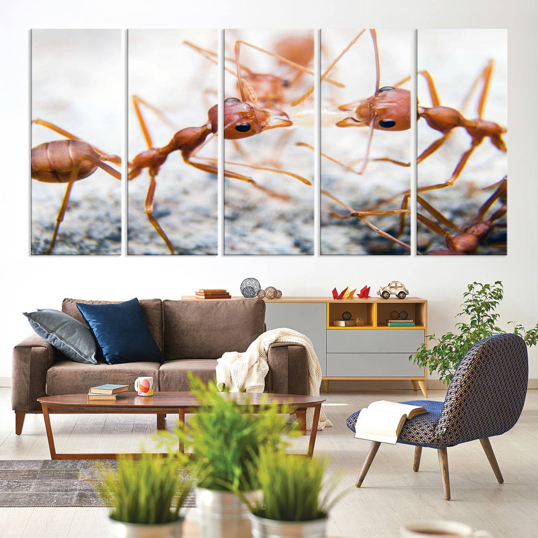 The "Ants Wall Art Canvas Print" features two ants facing each other, beautifully presented across three panels on museum-quality canvas with a UV-protective coating.