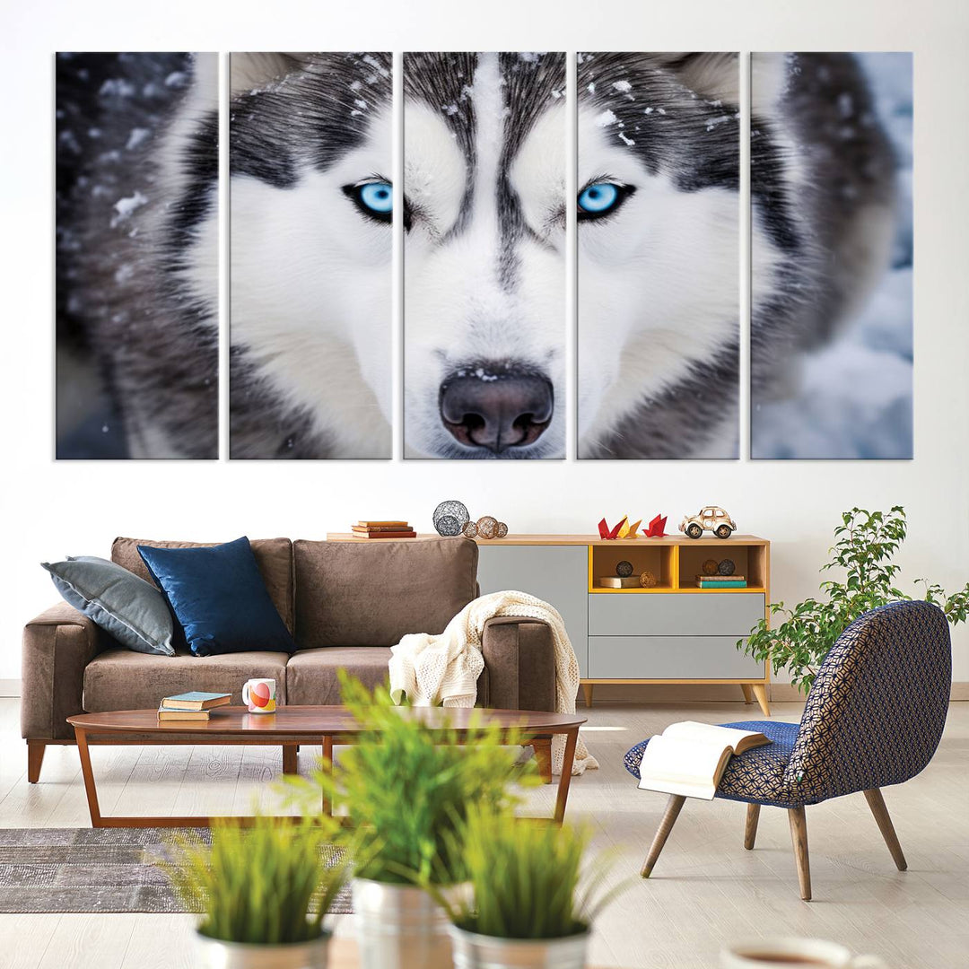 A large framed Winter Siberian Husky Wolf Wall Art Canvas Print, an exquisite piece of animal portrait decor, hangs prominently on the wall.