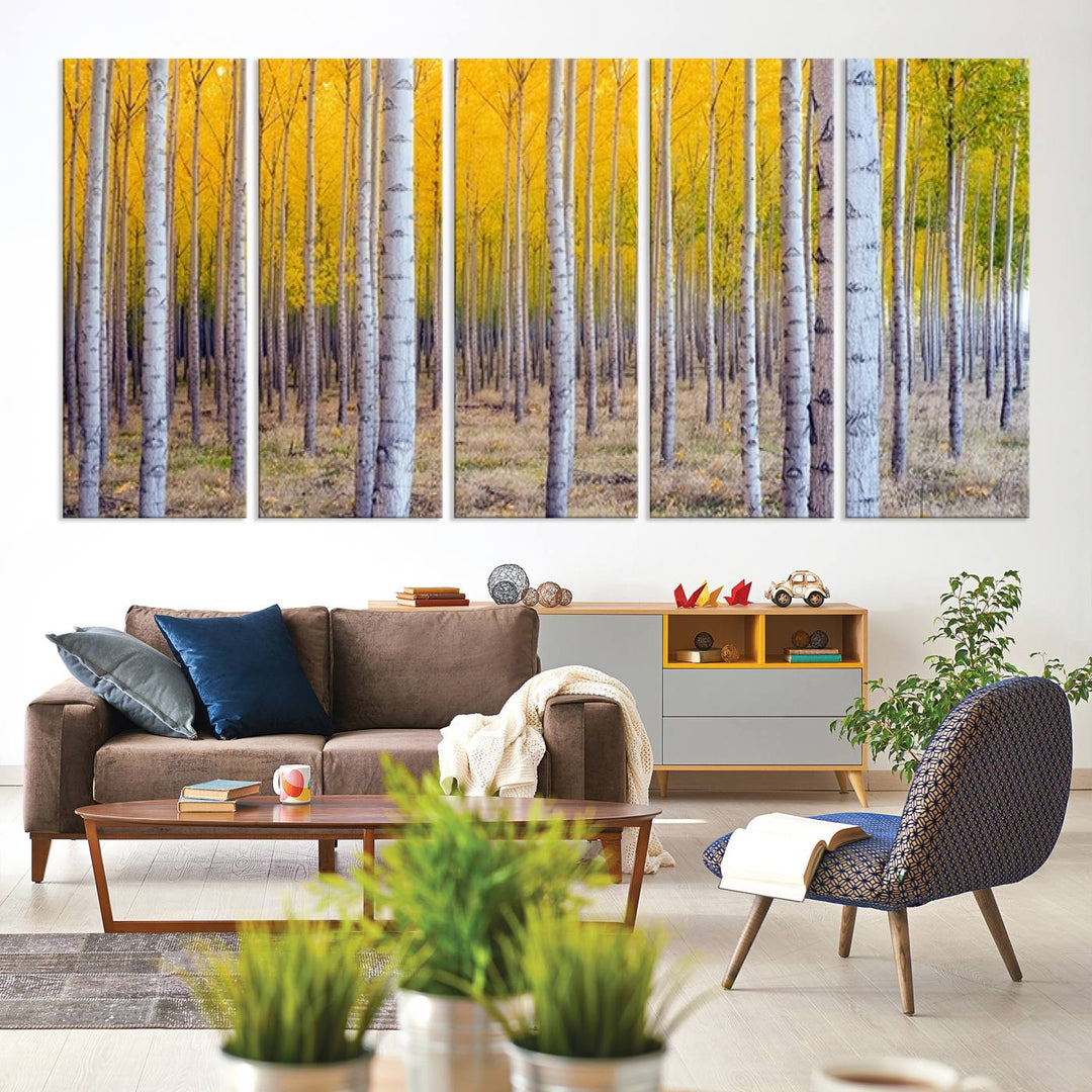 Birch Trees Forest in Autumn Wall Art Print