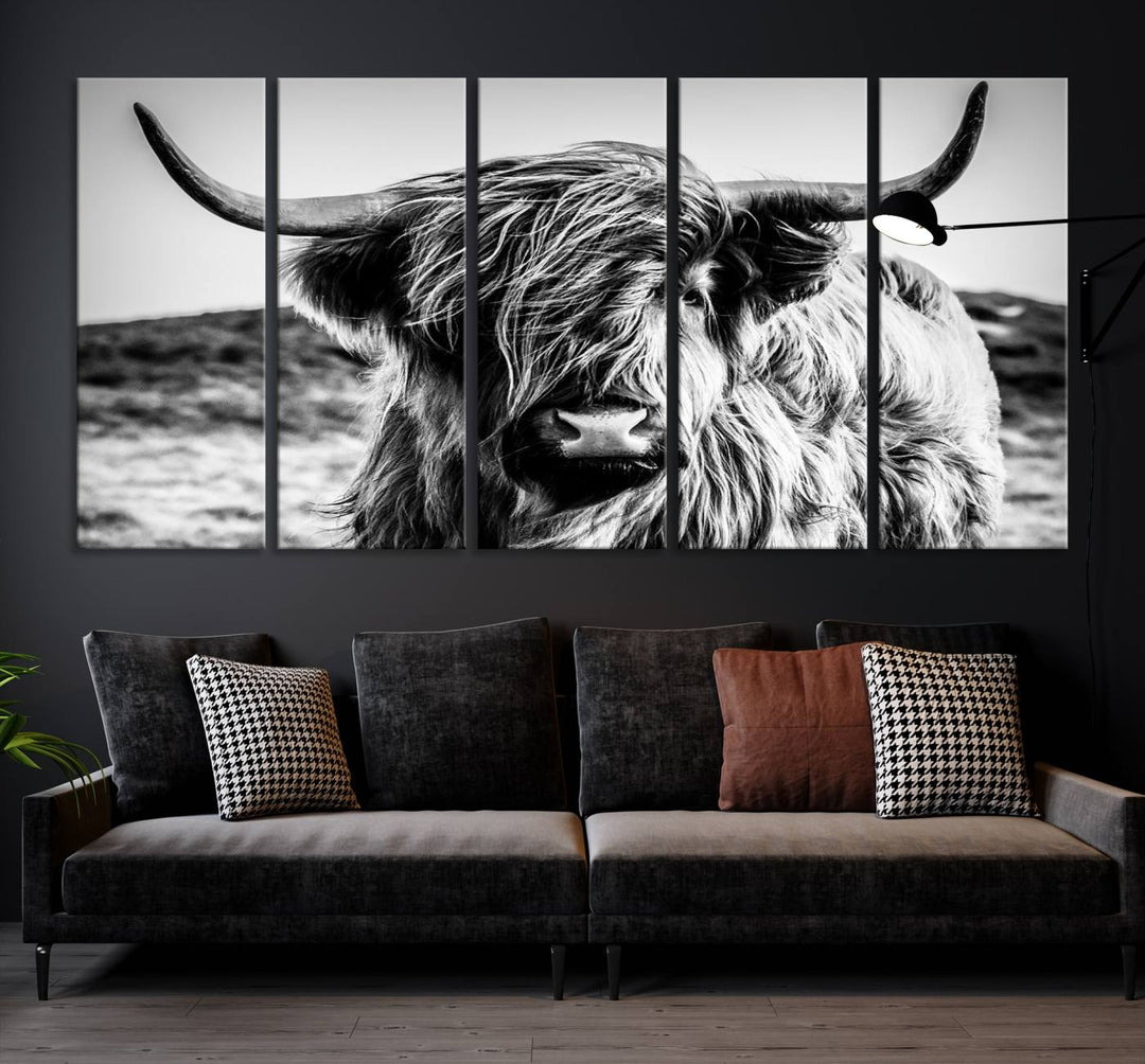 Scottish Cow Black and White Wall Canvas Art Print Farm House