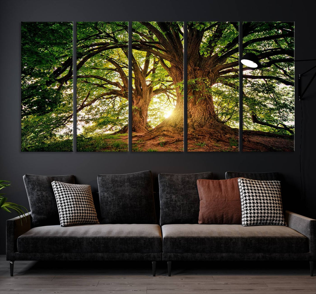 Majestic Ancient Tree Wall Art, Nature-Inspired Canvas Print, Woodland Art, Tree of Life Artwork, Sunlit Forest, Giclee Nature Print