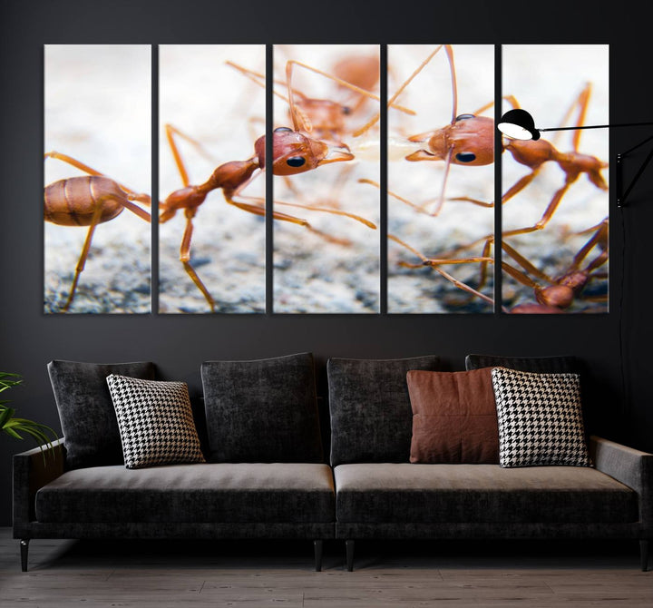 The "Ants Wall Art Canvas Print" features two ants facing each other, beautifully presented across three panels on museum-quality canvas with a UV-protective coating.