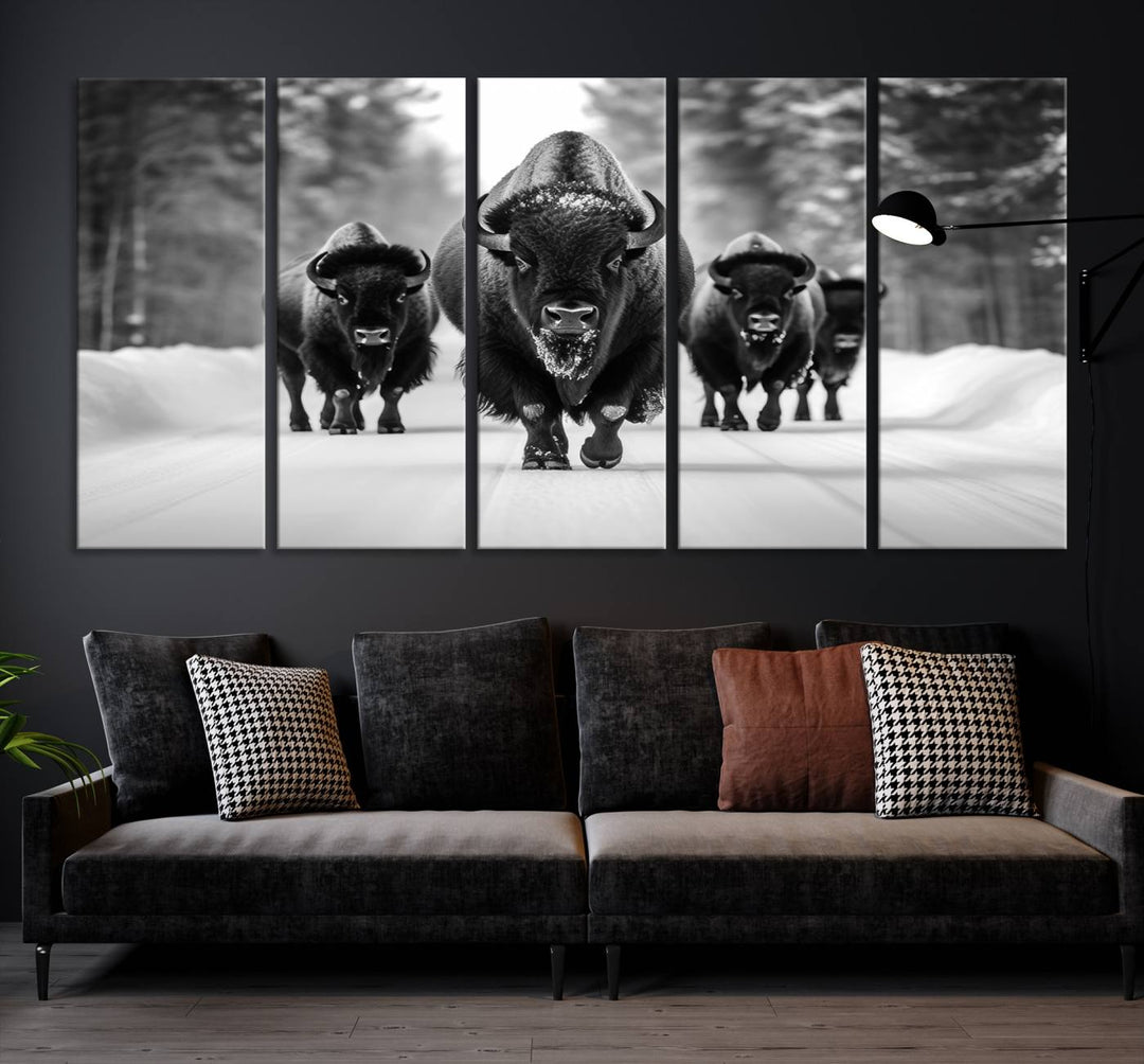 Buffalo Wall Art Canvas Print, Bison Wall Art Canvas Print