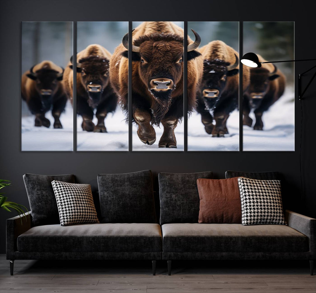 Buffalo Wall Art Canvas Print, American Bison Herd Wall Art Canvas Print