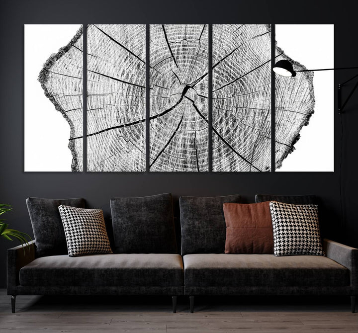 Rustic Tree Ring Wall Art Canvas Print – Framed and Ready to Hang – Perfect for Nature-Inspired and Minimalist Décor 