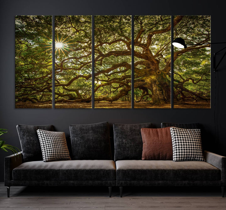 Ancient Angel Oak Tree Sunburst Wall Art - Nature-Inspired Triptych Canvas Print, Framed, Ready to Hang