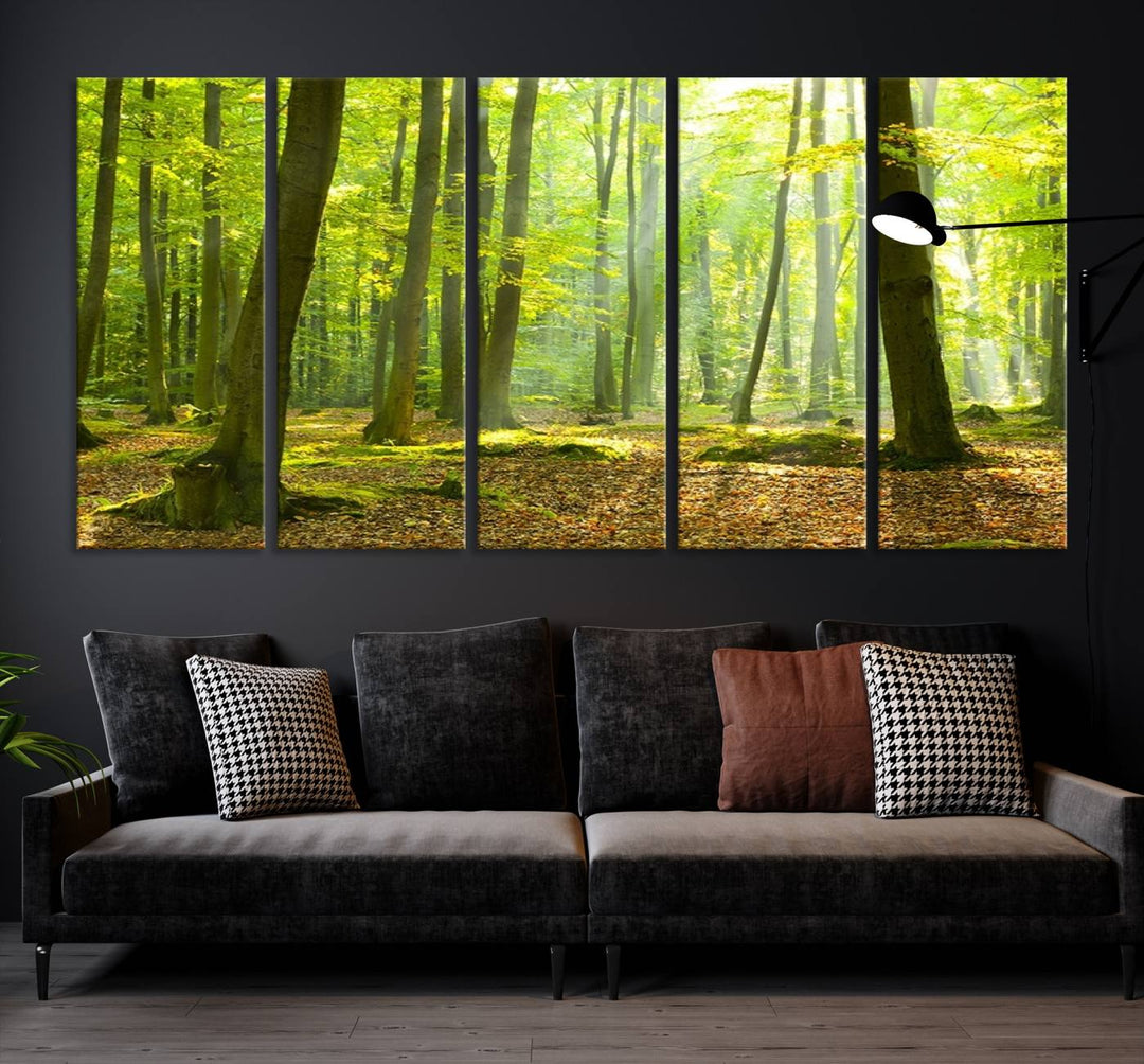 Wall Art Landscape Canvas Print Sunshine in Green Forest