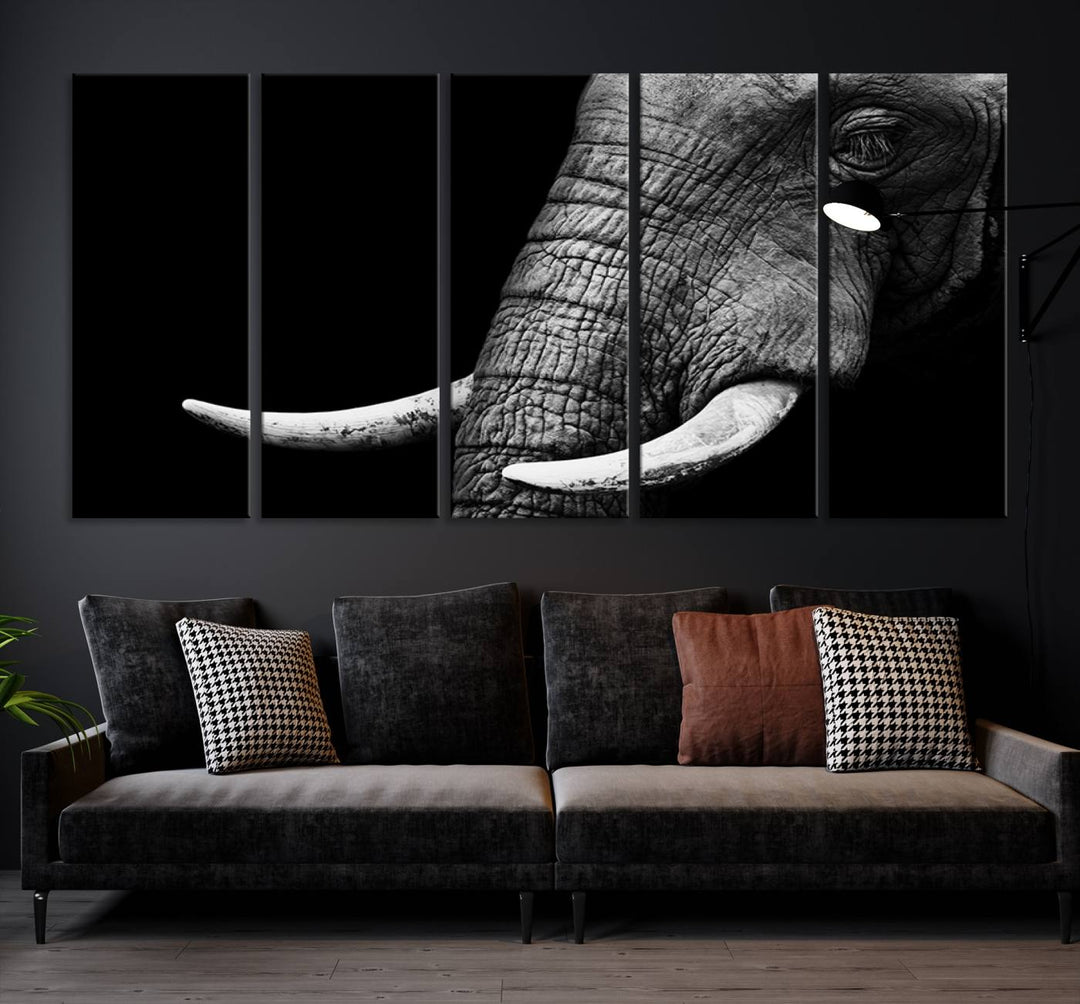 Wall Art Animal Canvas Print Close Taken Elephant with Big Ivories