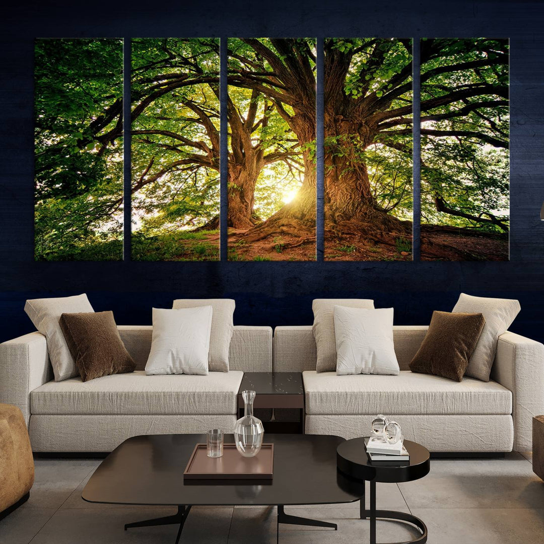 Majestic Ancient Tree Wall Art, Nature-Inspired Canvas Print, Woodland Art, Tree of Life Artwork, Sunlit Forest, Giclee Nature Print