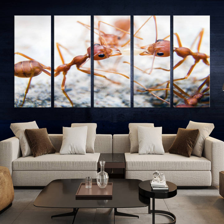 The "Ants Wall Art Canvas Print" features two ants facing each other, beautifully presented across three panels on museum-quality canvas with a UV-protective coating.