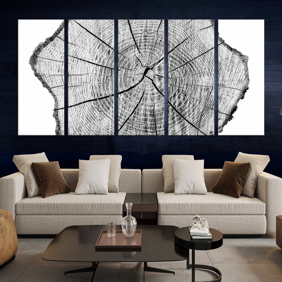 Rustic Tree Ring Wall Art Canvas Print – Framed and Ready to Hang – Perfect for Nature-Inspired and Minimalist Décor 