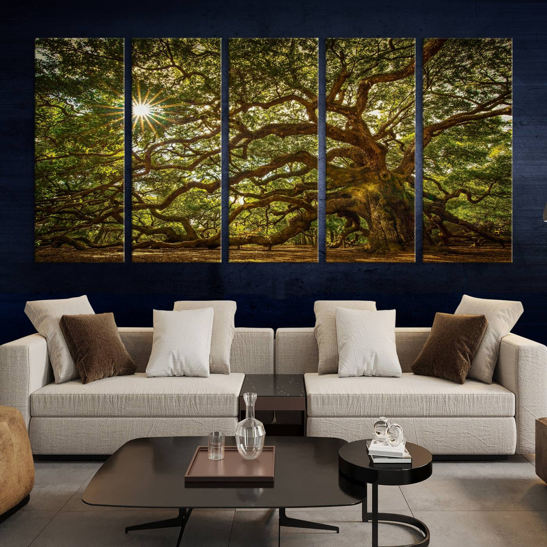 Ancient Angel Oak Tree Sunburst Wall Art - Nature-Inspired Triptych Canvas Print, Framed, Ready to Hang