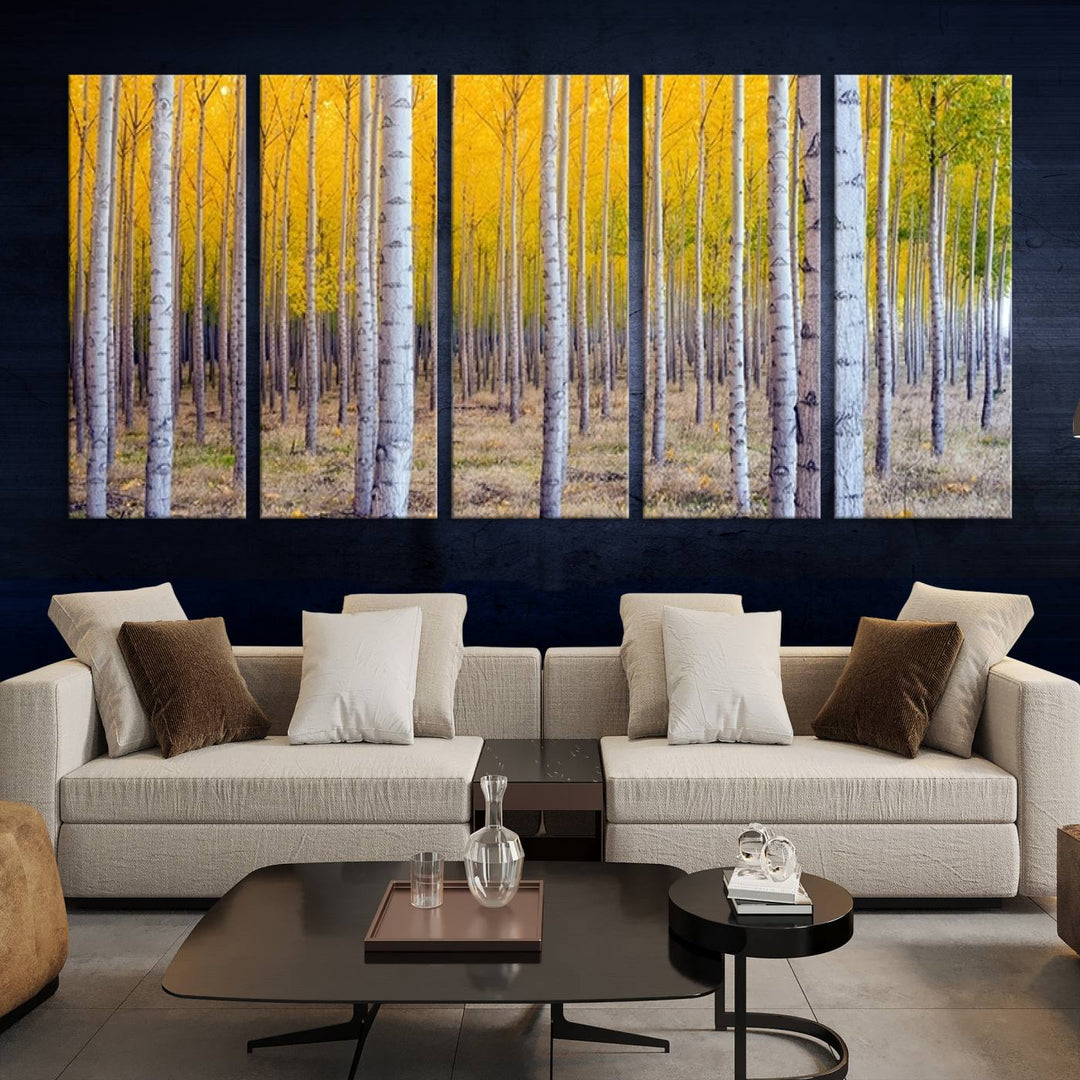 Birch Trees Forest in Autumn Wall Art Print