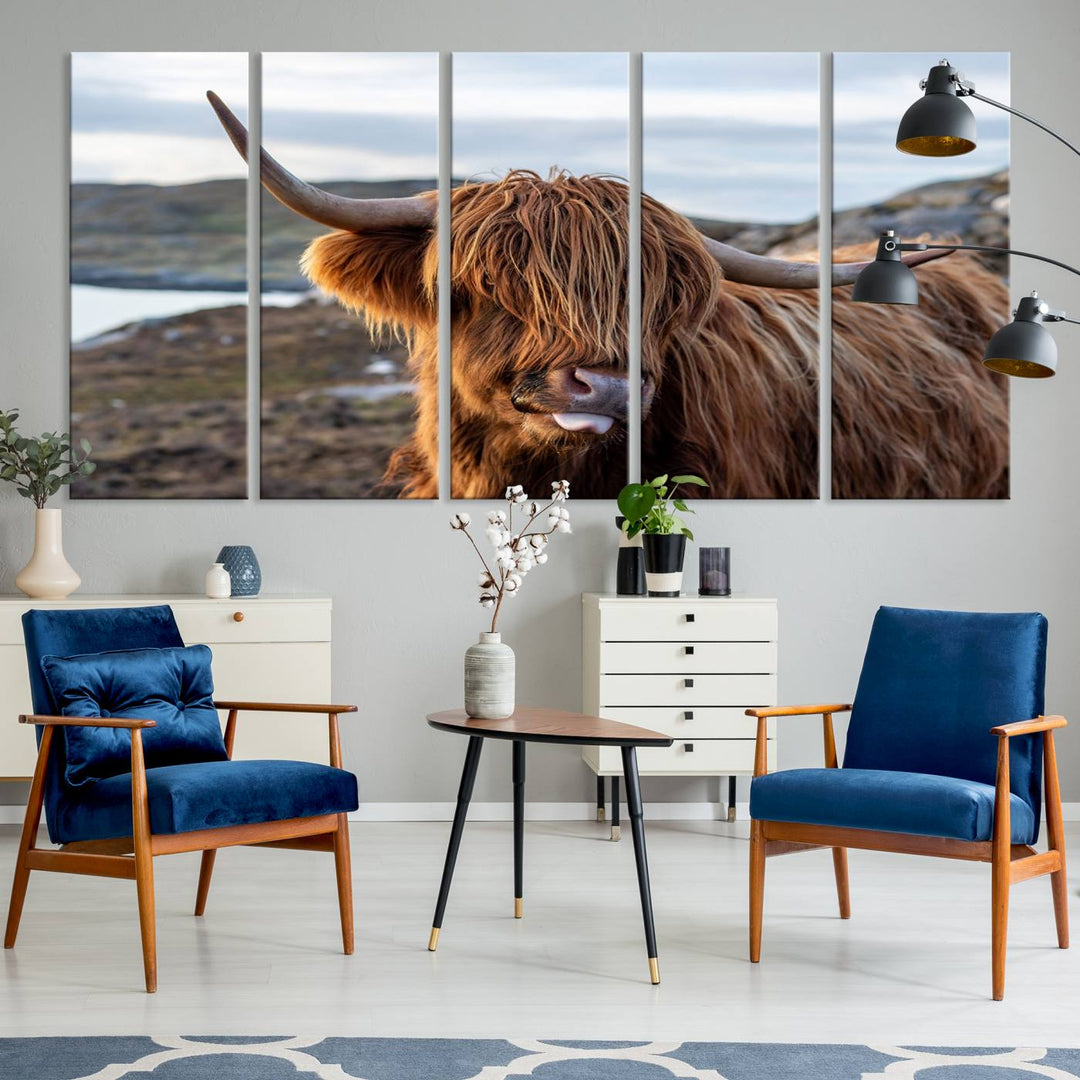 Cuddly Highland Cow Canvas Photo Wall Art Print Highlands Art Cute Animal Wall Art