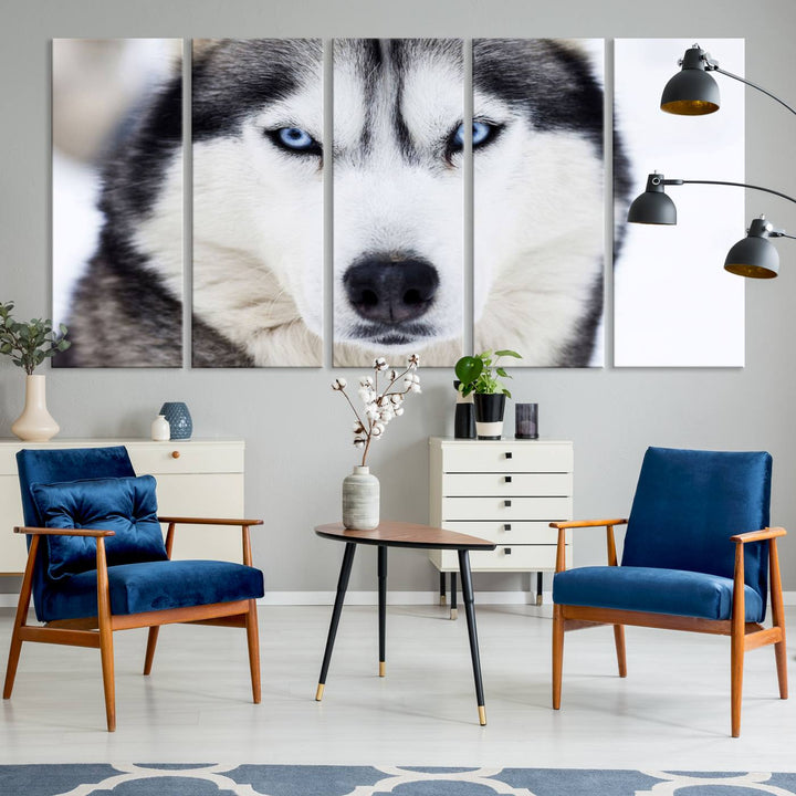 A captivating Winter Siberian Husky Wolf Blue Eyes Wall Art Canvas Print is displayed above.