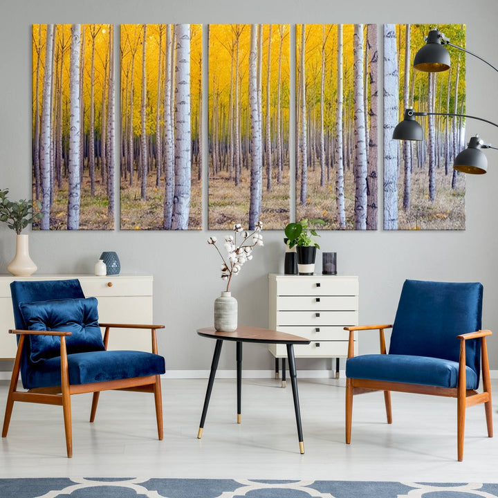 Birch Trees Forest in Autumn Wall Art Print