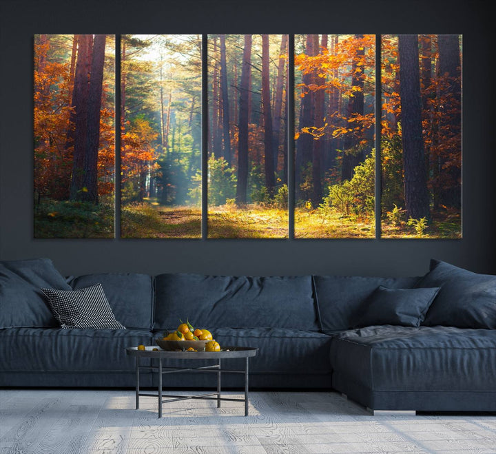 Forêt Sunshine Wall Art Impression sur toile